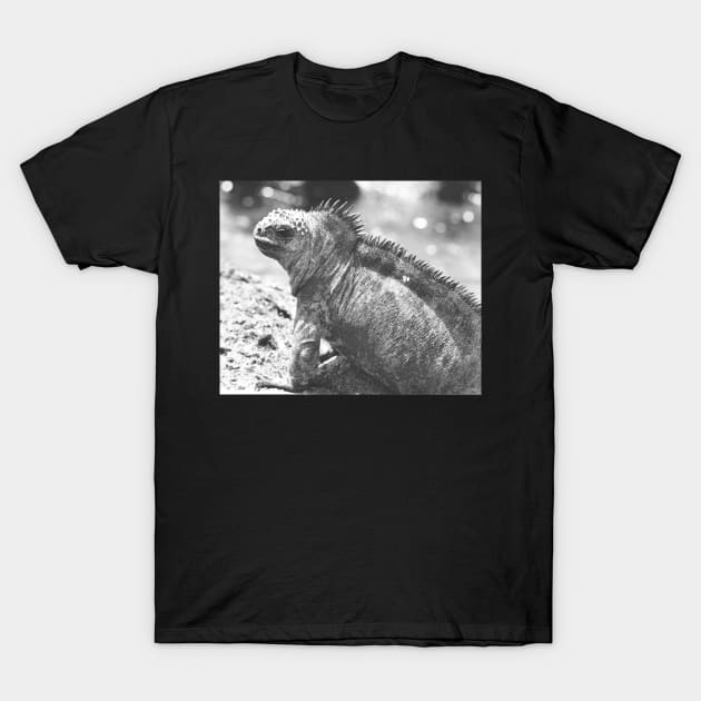 Marine Iguana T-Shirt by In Memory of Jerry Frank